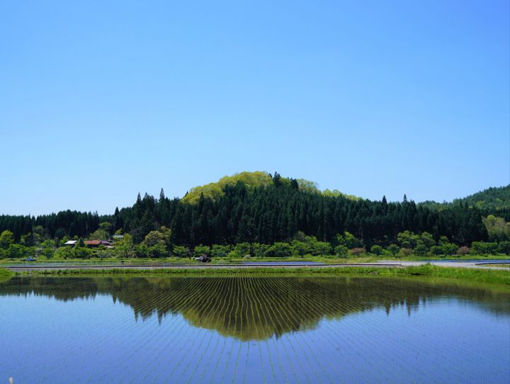 日南町
