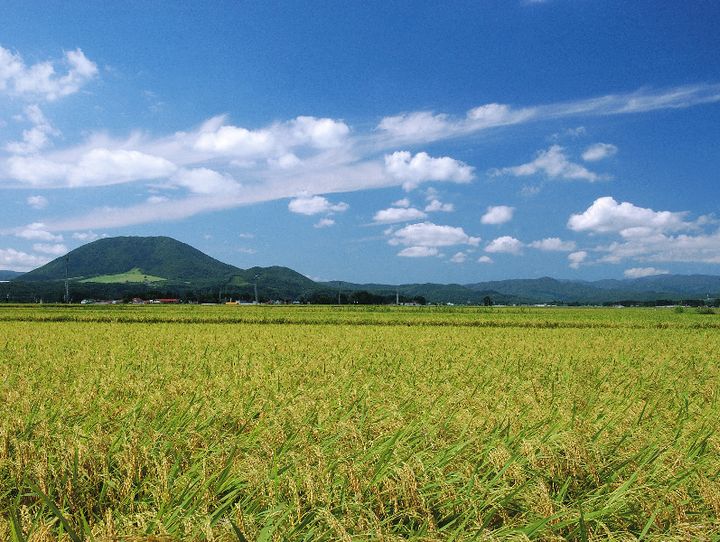 加美町