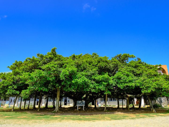 和泊町