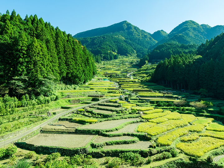愛知県全体