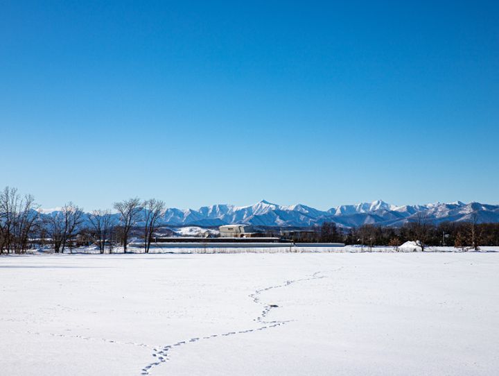 大樹町