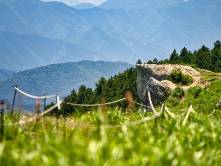 紀美野町