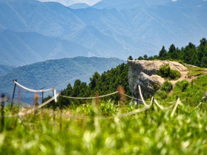 紀美野町