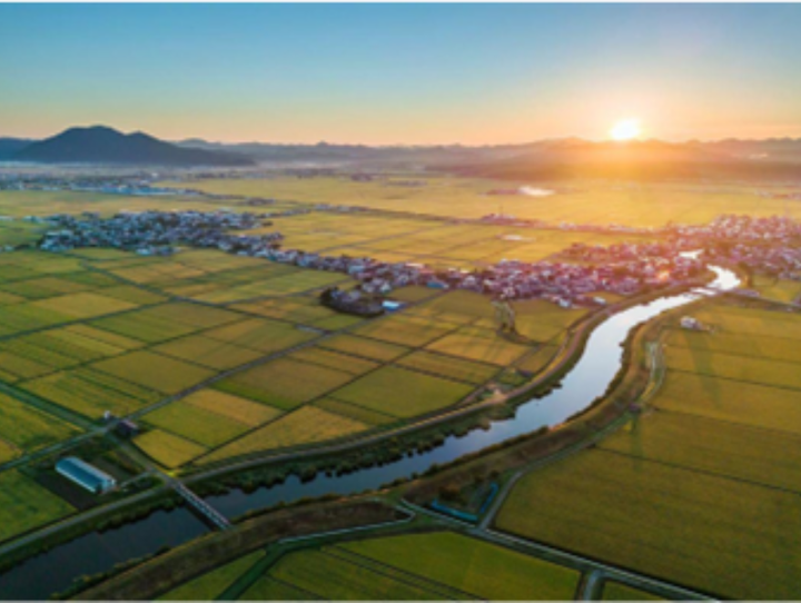 井川町