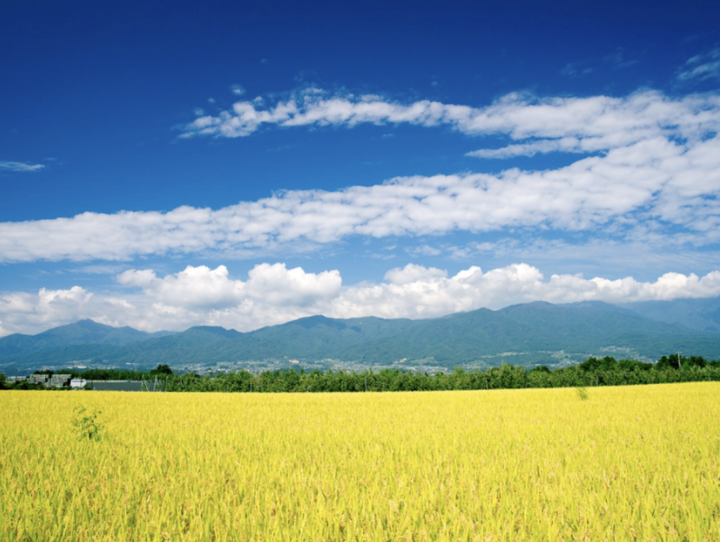 豊丘村