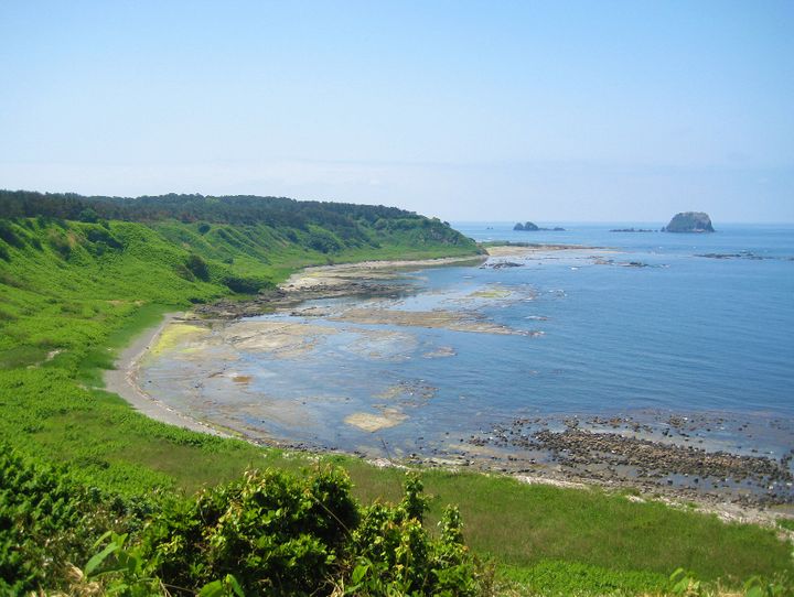酒田市