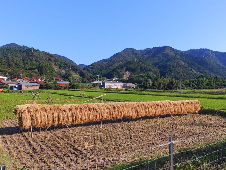 萩市
