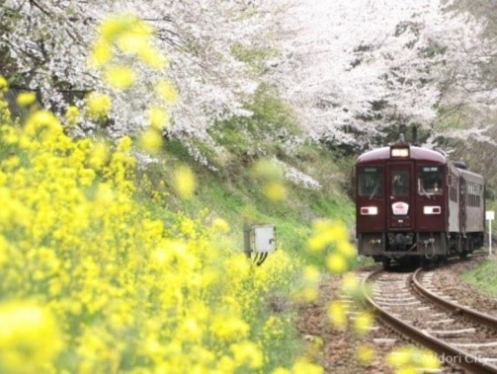群馬県全体
