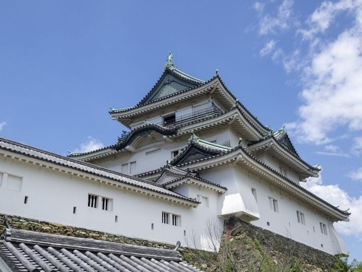 和歌山市
