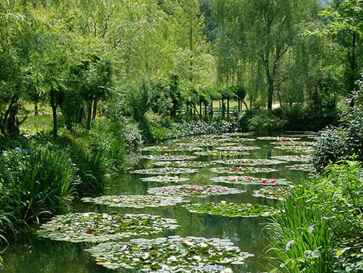 北川村