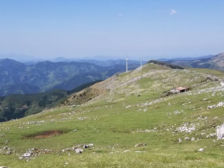津野町