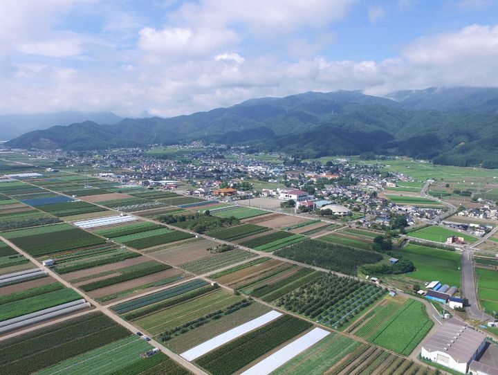 山形村