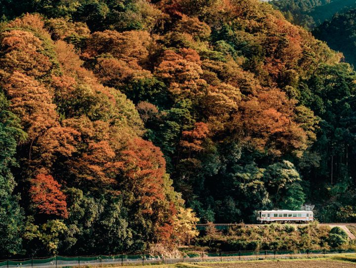 三重県全体