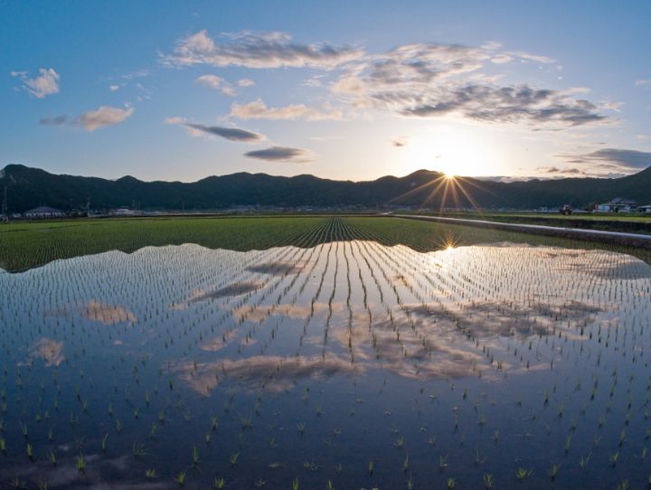 愛媛県全体