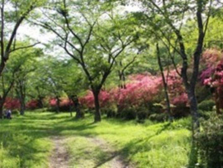 矢祭町