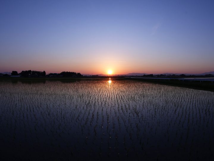 大崎市
