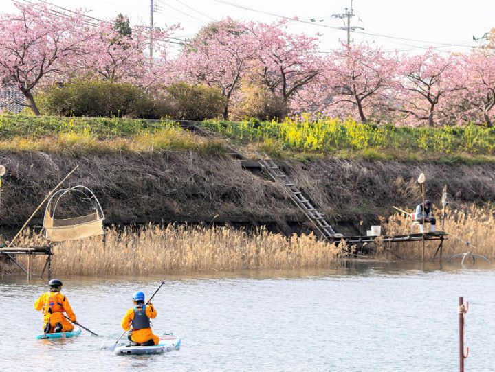 佐々町