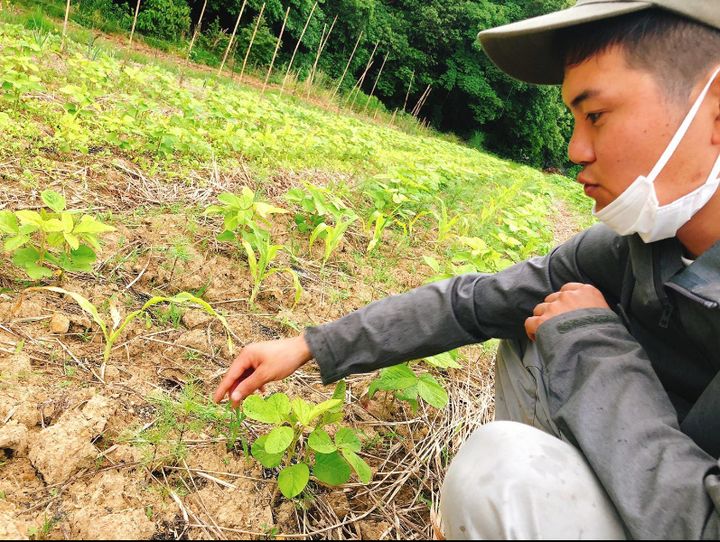 伊万里市