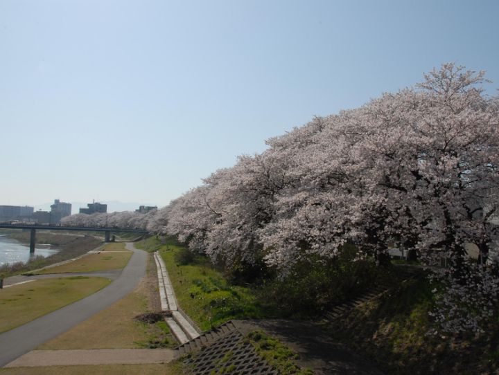 福井県全体
