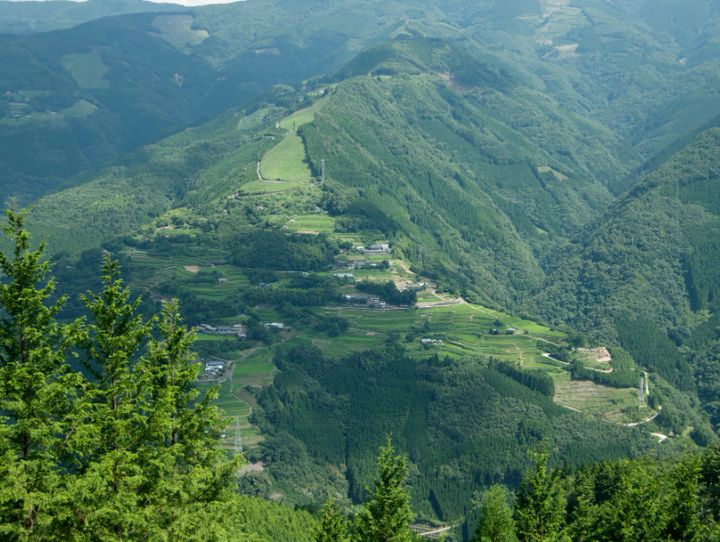 椎葉村