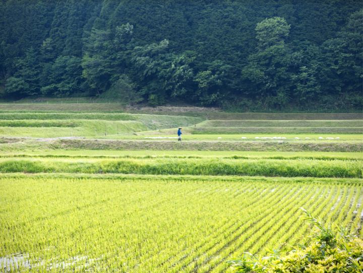 智頭町