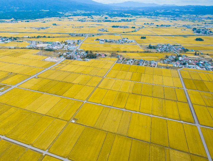 湯川村