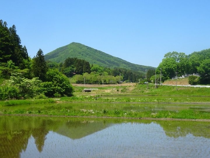 葛尾村