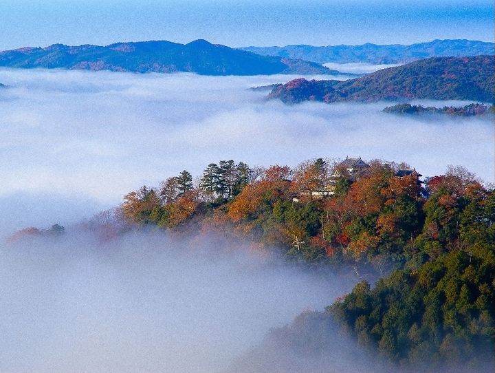 高梁市