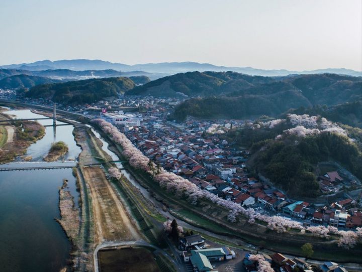 雲南市