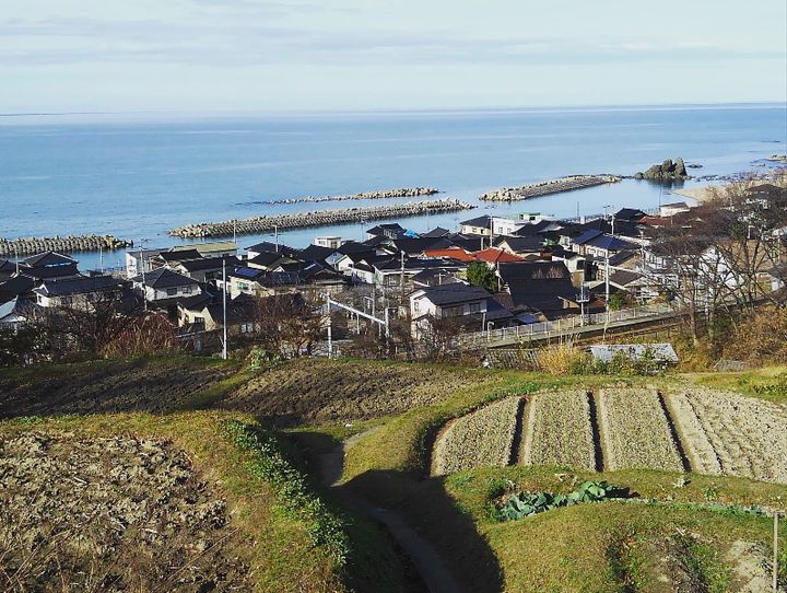鶴岡市