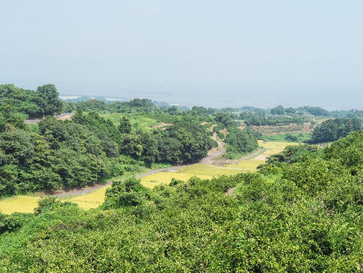 鹿島市