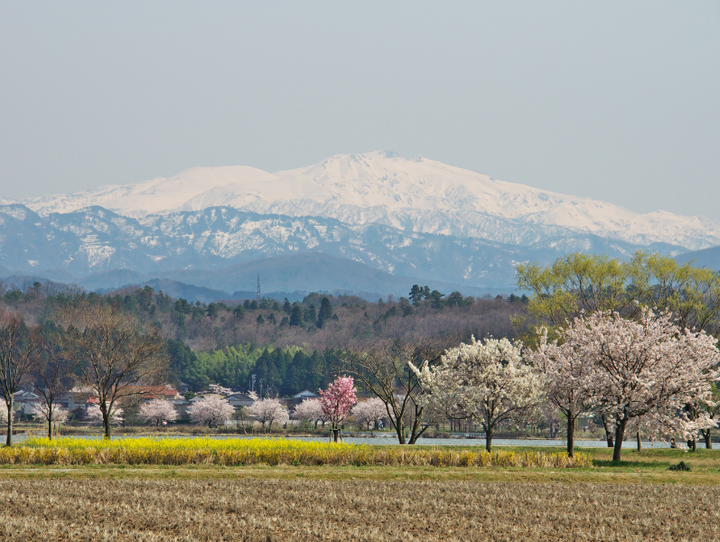小松市
