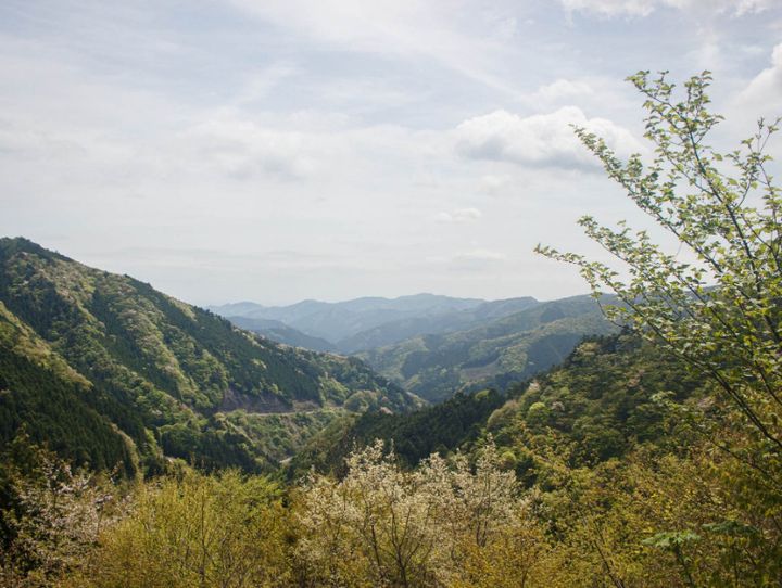 檜原村