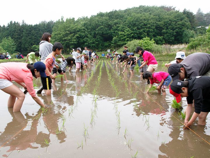 群馬県全体