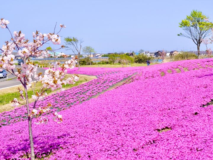 湯梨浜町