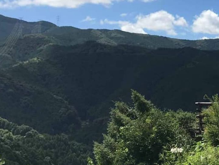 紀美野町