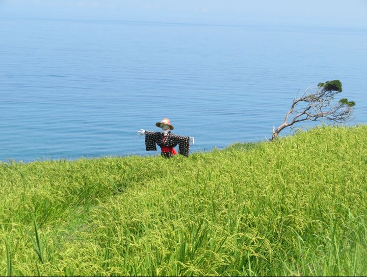 石川県全体