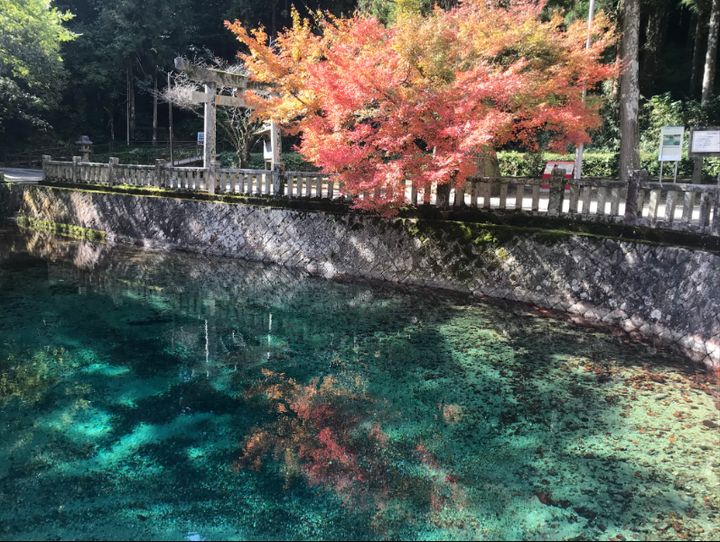 美祢市