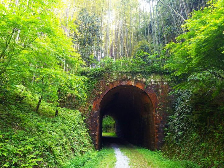 山口県全体