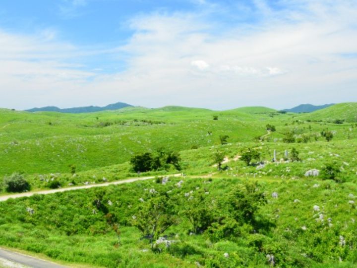 山口県全体