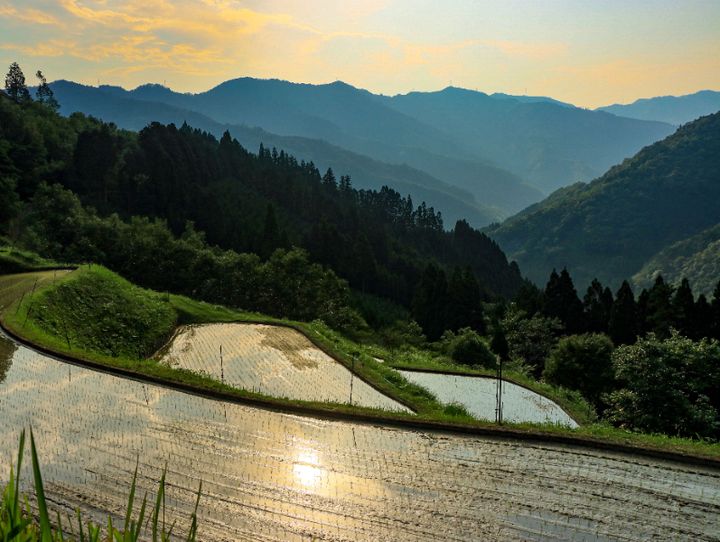 諸塚村