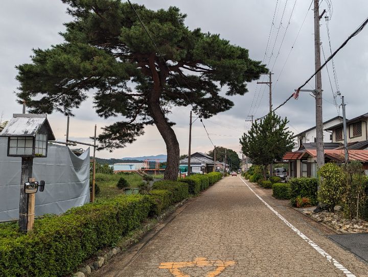 甲賀市