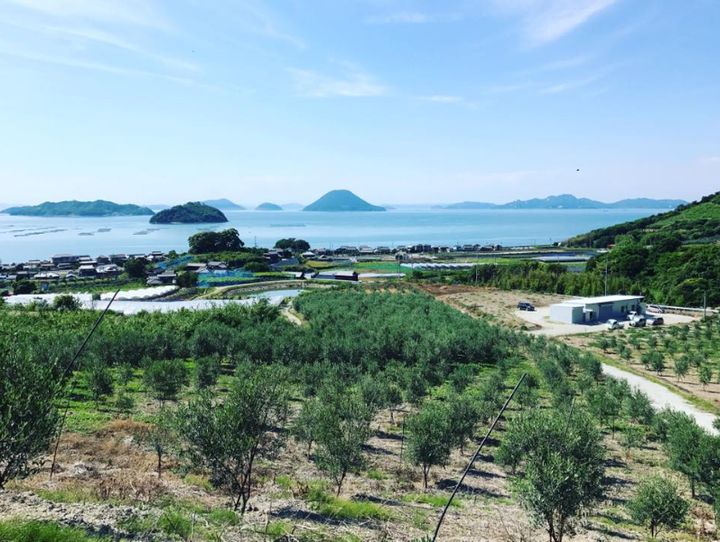 多度津町