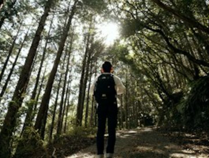 和歌山県全体