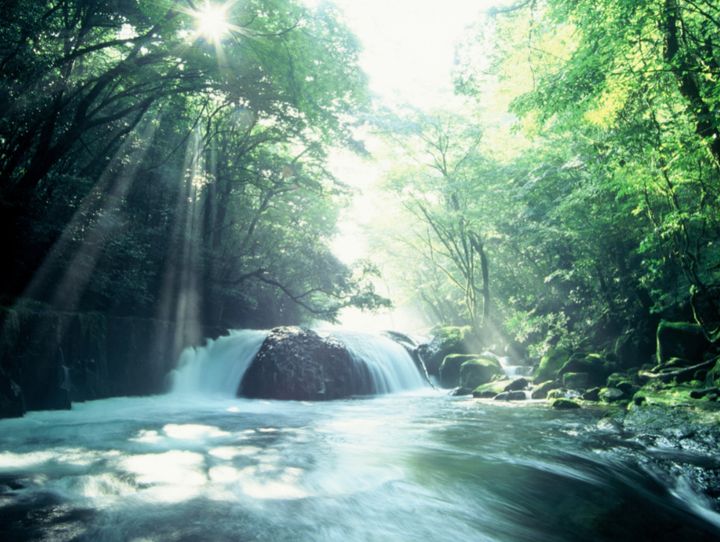 菊池市