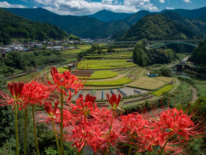 和歌山県全体