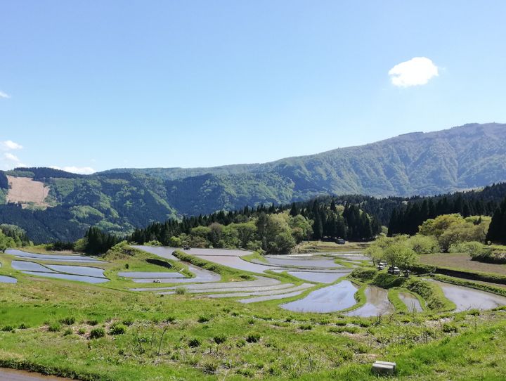 養父市