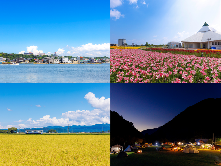 坂井市