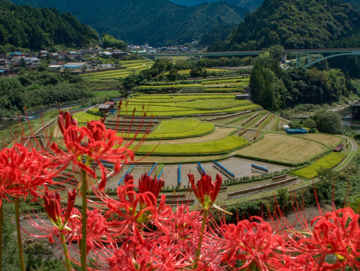 有田川町