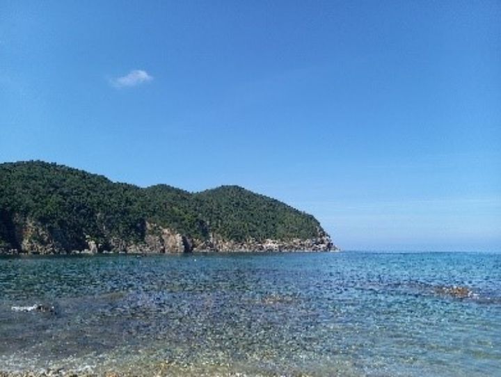 山口市